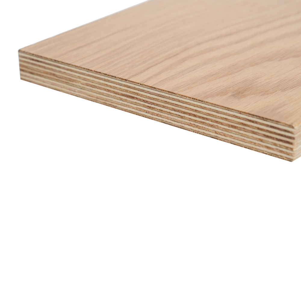 Lignum Veneered Birch Plywood 