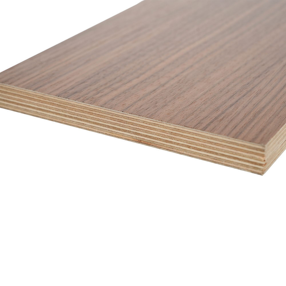 Lignum Veneered Birch Plywood 