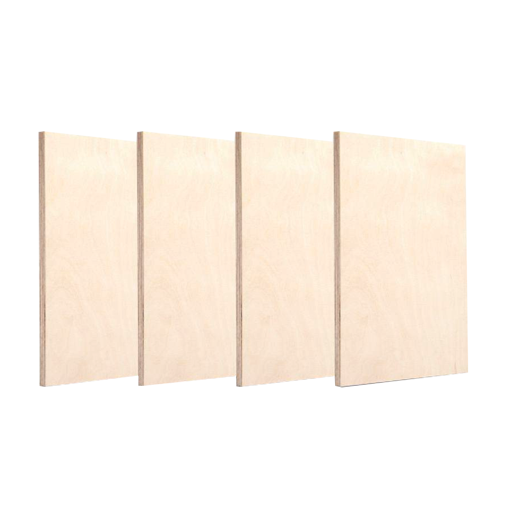 Top Grades Birch Plywood (B/BB & S/BB)